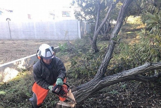 pixta_36858974_M-960x639